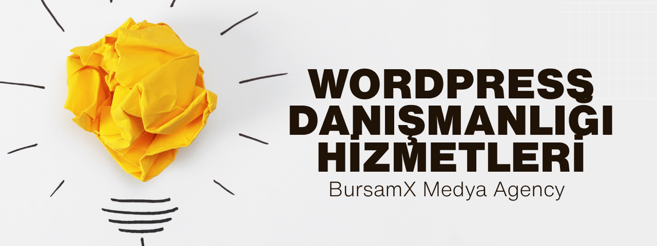 Bursa Wordpress Danışmanlığı