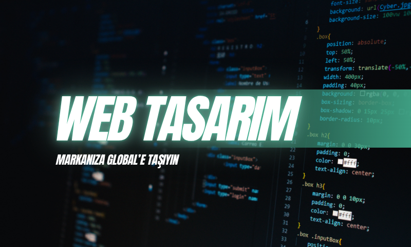 Seo Çözümleri